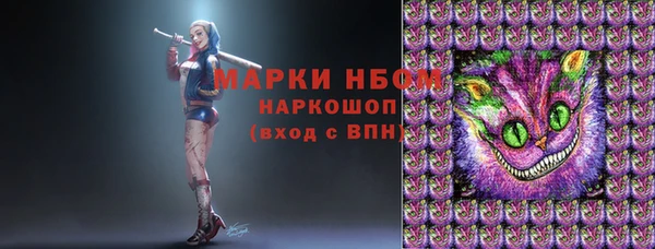 дживик Белокуриха