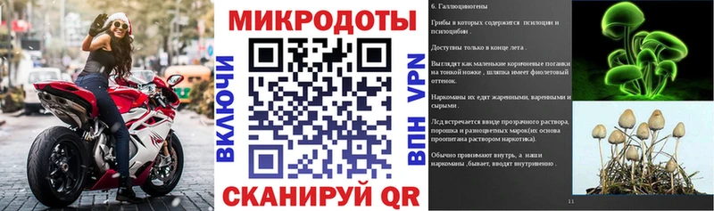 ссылка на мегу сайт  Бийск  Галлюциногенные грибы прущие грибы  что такое  